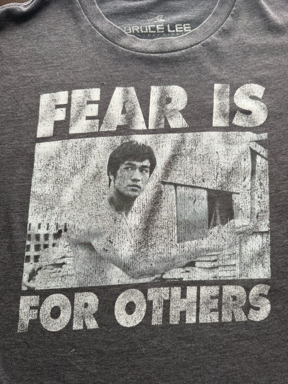 Bruce Lee Fear Is For Others Graphic T Shirt Mens Large Gray